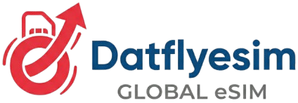 Dataflyesim