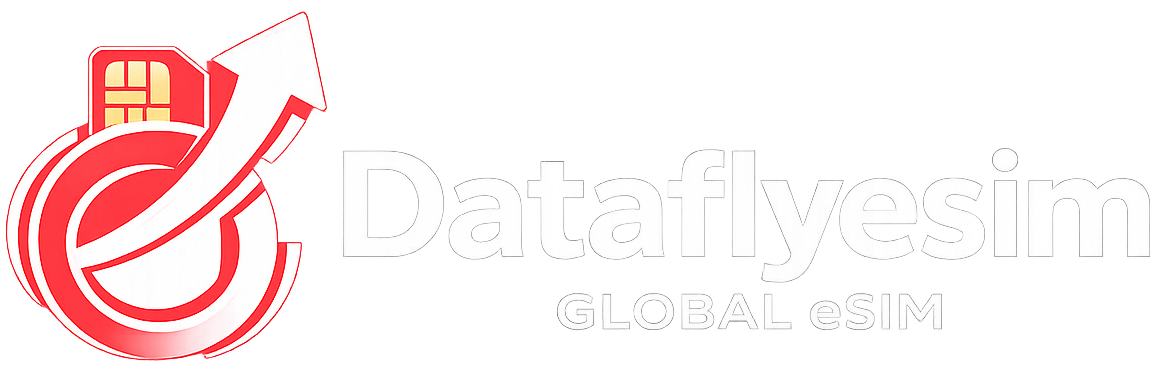 Dataflyesim Logo