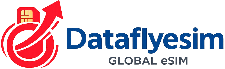 Dataflyesim